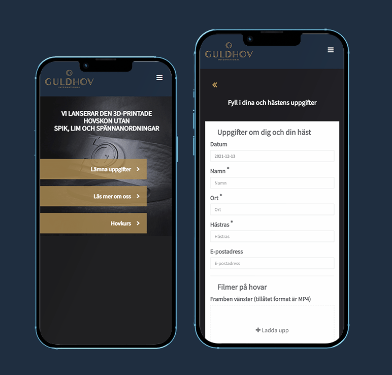 guldhovmockup